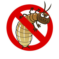 Termite Resistant 